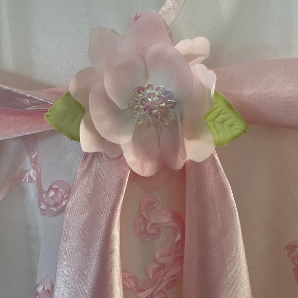 Flower Girl, Party, Princess, Halloween Dress Size 8 White Pink Floral Sash - Picture 4 of 16